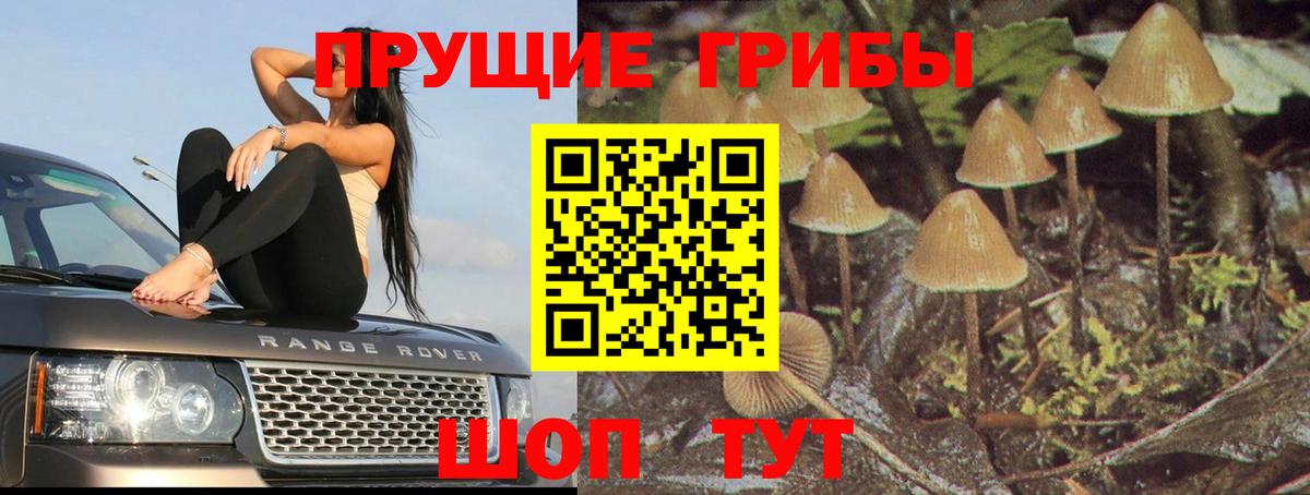 Галлюциногенные грибы мицелий Усинск